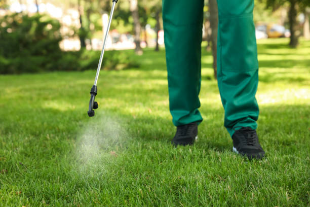 Best Pest Removal Services  in Honokaa, HI