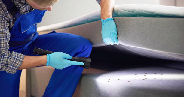 Best Residential Pest Control  in Honokaa, HI